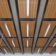 Slotted Acoustic Perforations - Big River Panels gallery detail image