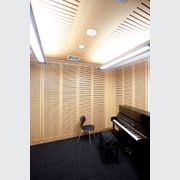 Slotted Acoustic Perforations - Big River Panels gallery detail image