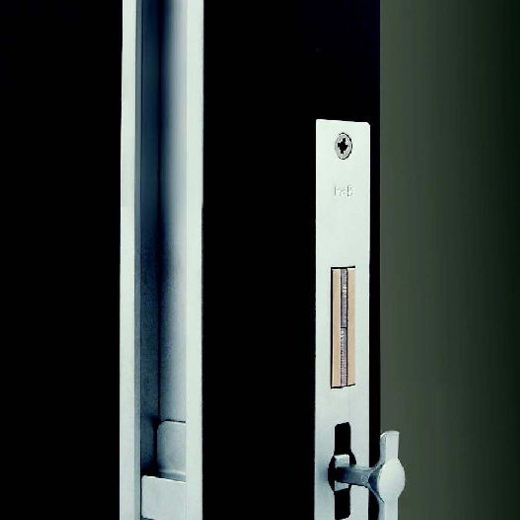 HB695 250mm Privacy Set for Sliding/Cavity Slider Doors gallery detail image