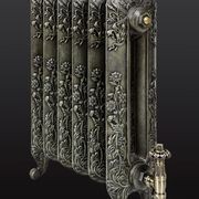 Paladin Cast Iron Radiators Custom Finish Choices gallery detail image