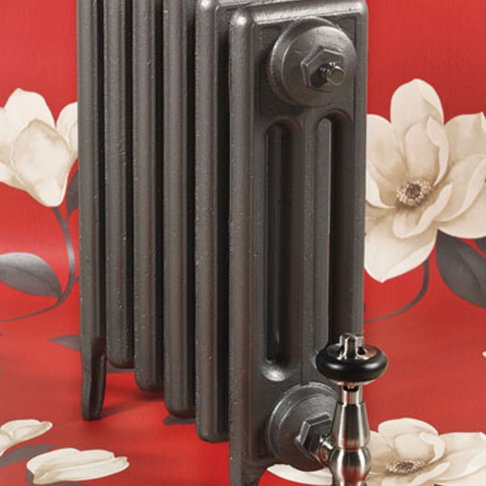Paladin Cast Iron Radiators Custom Finish Choices gallery detail image