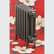 Paladin Cast Iron Radiators Custom Finish Choices gallery detail image