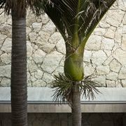 Stone Cladding gallery detail image