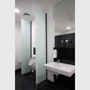 Etched / Textured Glass gallery detail image