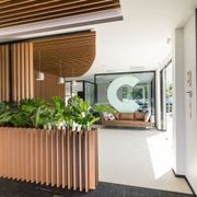 Austratus Clip-In Timber Fin Cladding Profile gallery detail image