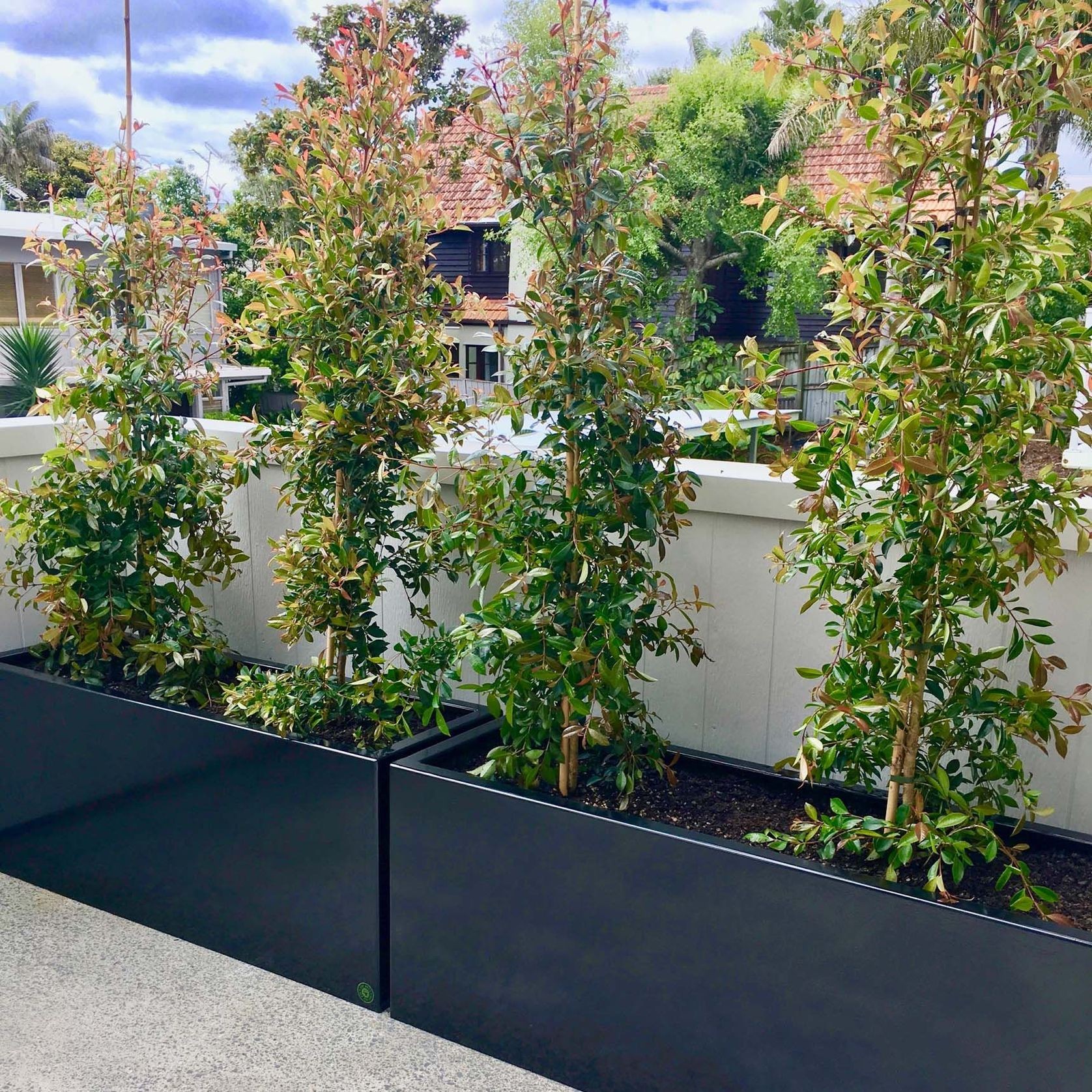 Black Powdercoated Trough 1200 Planter gallery detail image