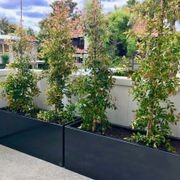 Black Powdercoated Trough 1200 Planter gallery detail image