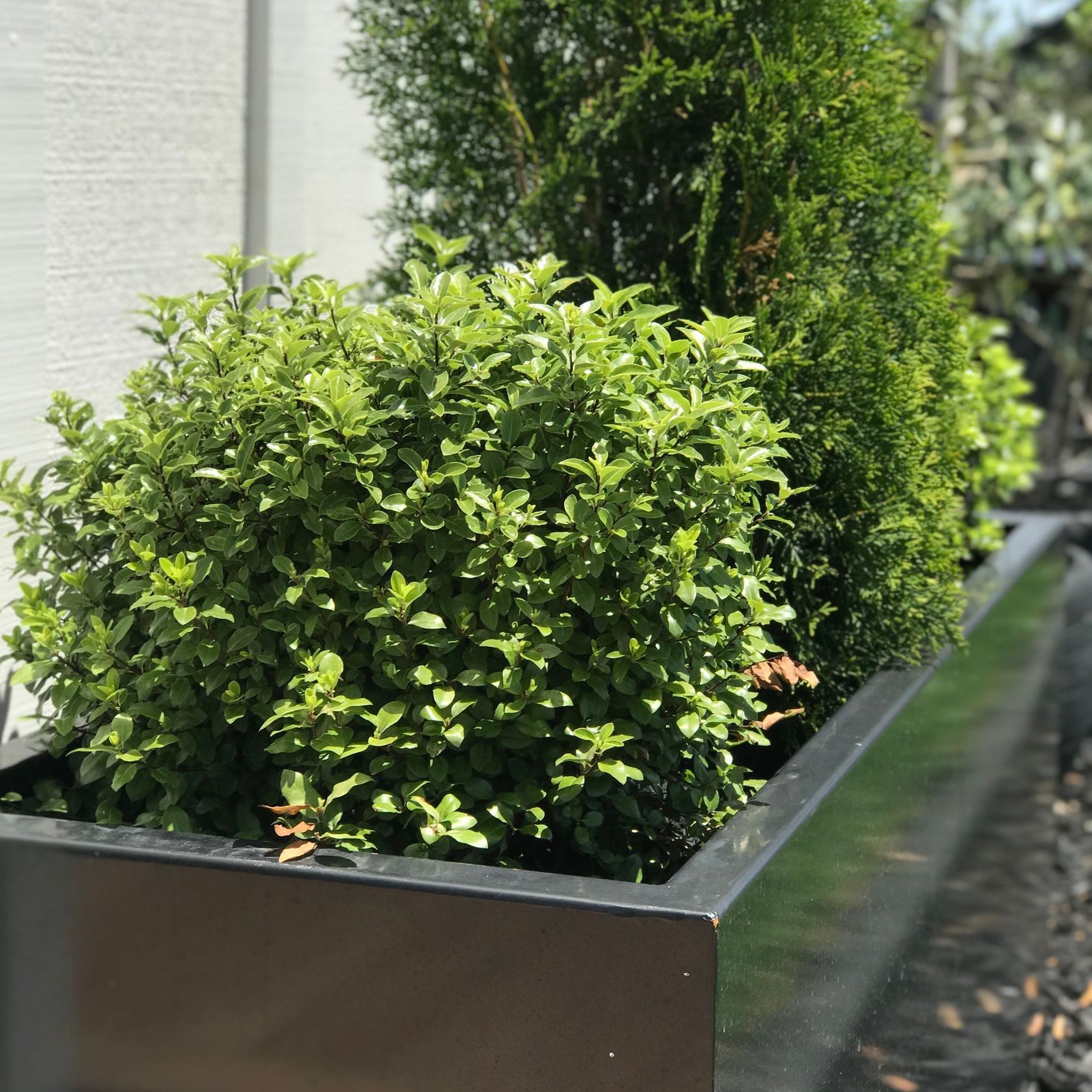 Black Powdercoated Trough Planter 1400 gallery detail image