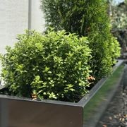 Black Powdercoated Trough Planter 1400 gallery detail image