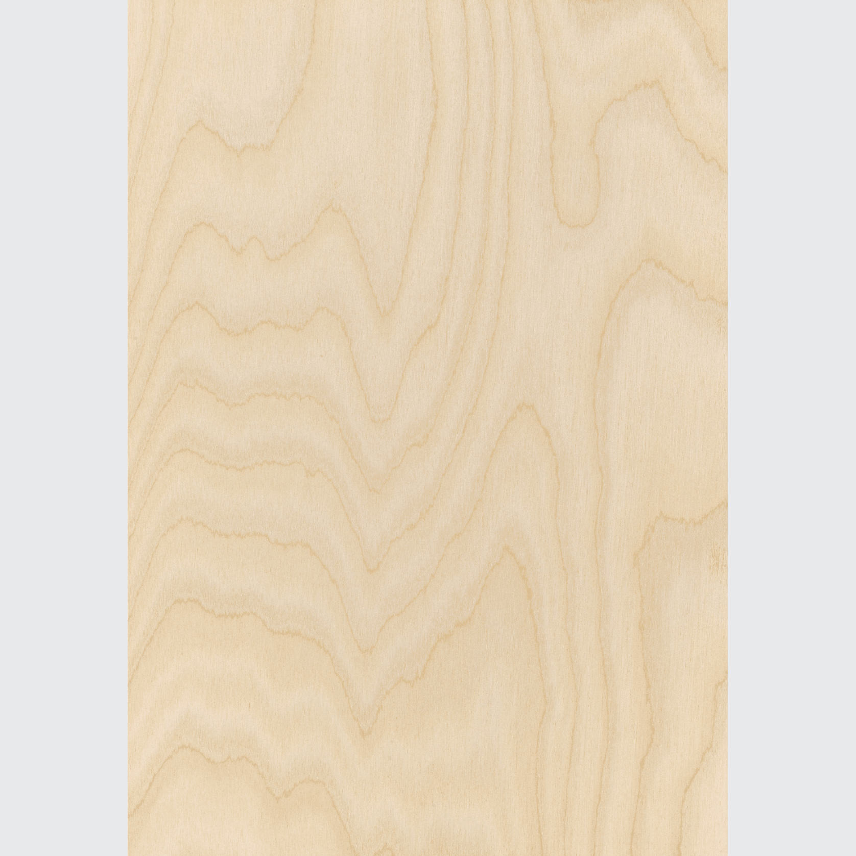 Classique Birch Pre | Wall & Ceiling Linings gallery detail image