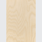 Classique Birch Pre | Wall & Ceiling Linings gallery detail image