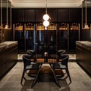 EuroCave Revelation Wine Cabinet gallery detail image