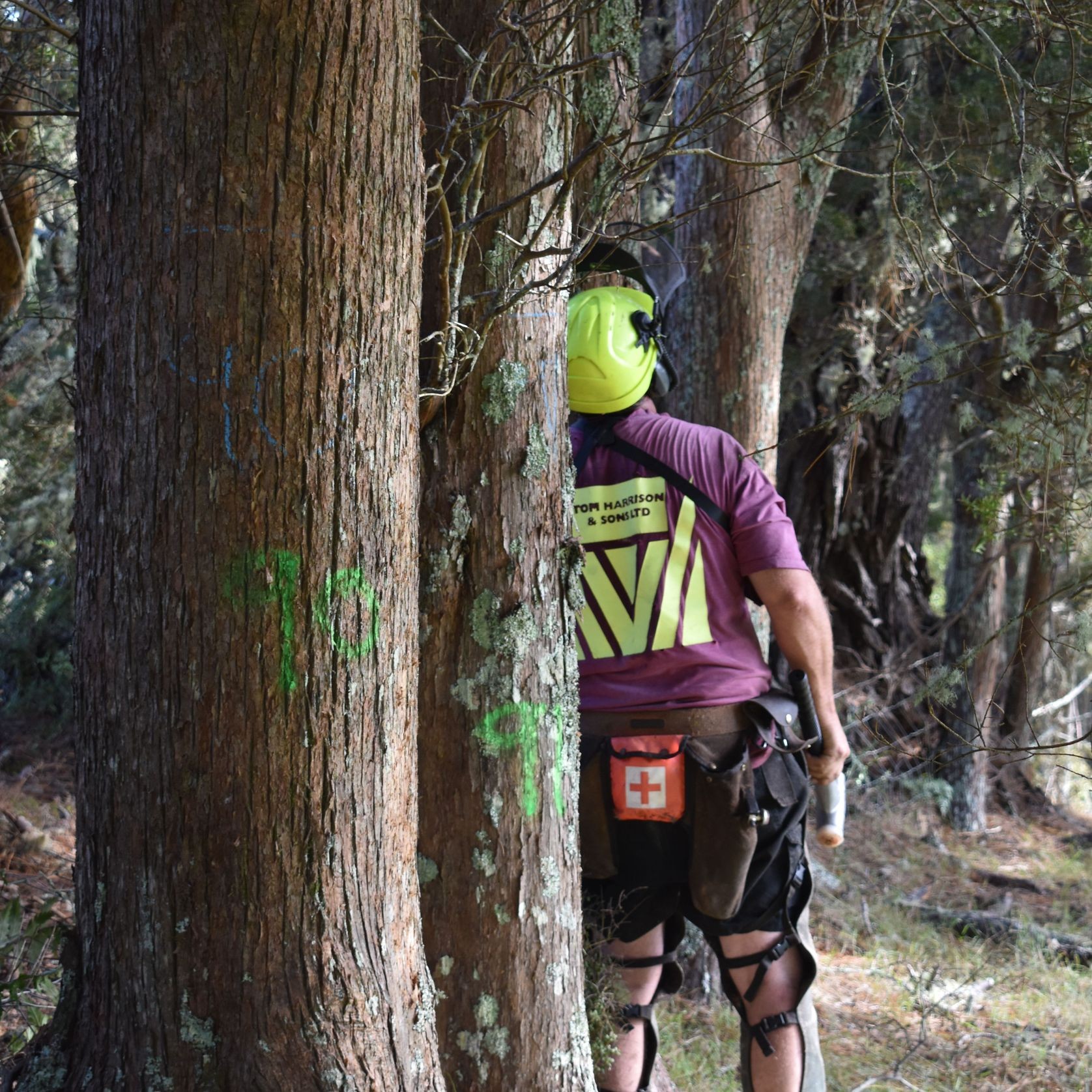 JSC Farm Totara gallery detail image