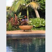Fire Bowl Pit with Legs gallery detail image