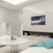 Planika Bio-Fuel Fireplace Fire Line Automatic 4 gallery detail image