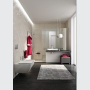 Goman - Universal & Accessible Bathroom Design gallery detail image