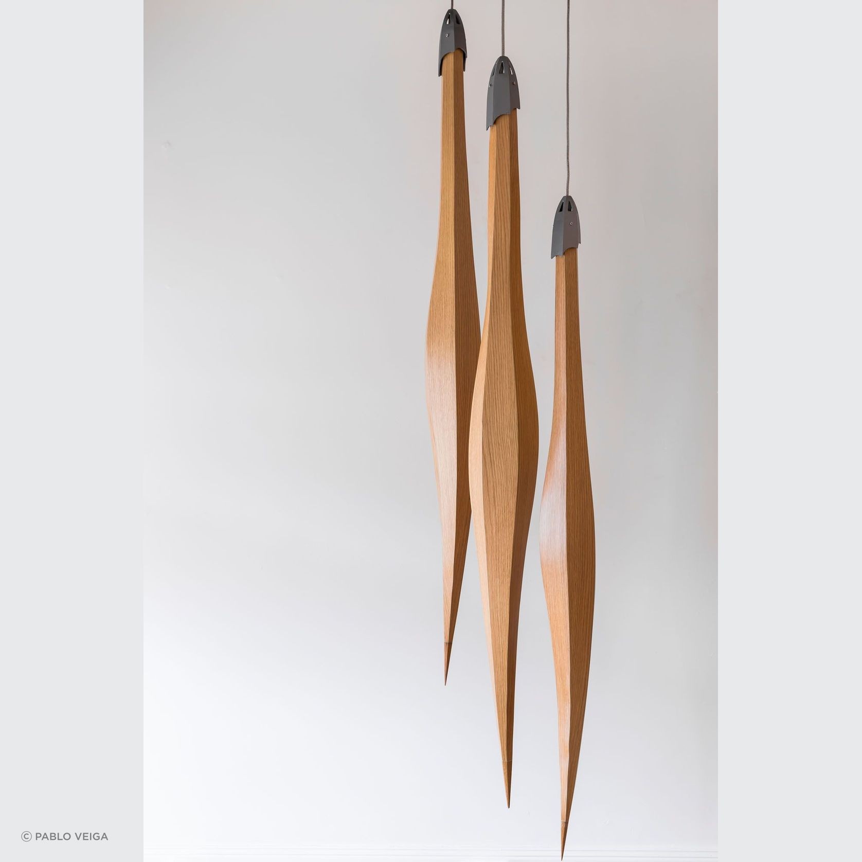 Harakeke Pods gallery detail image