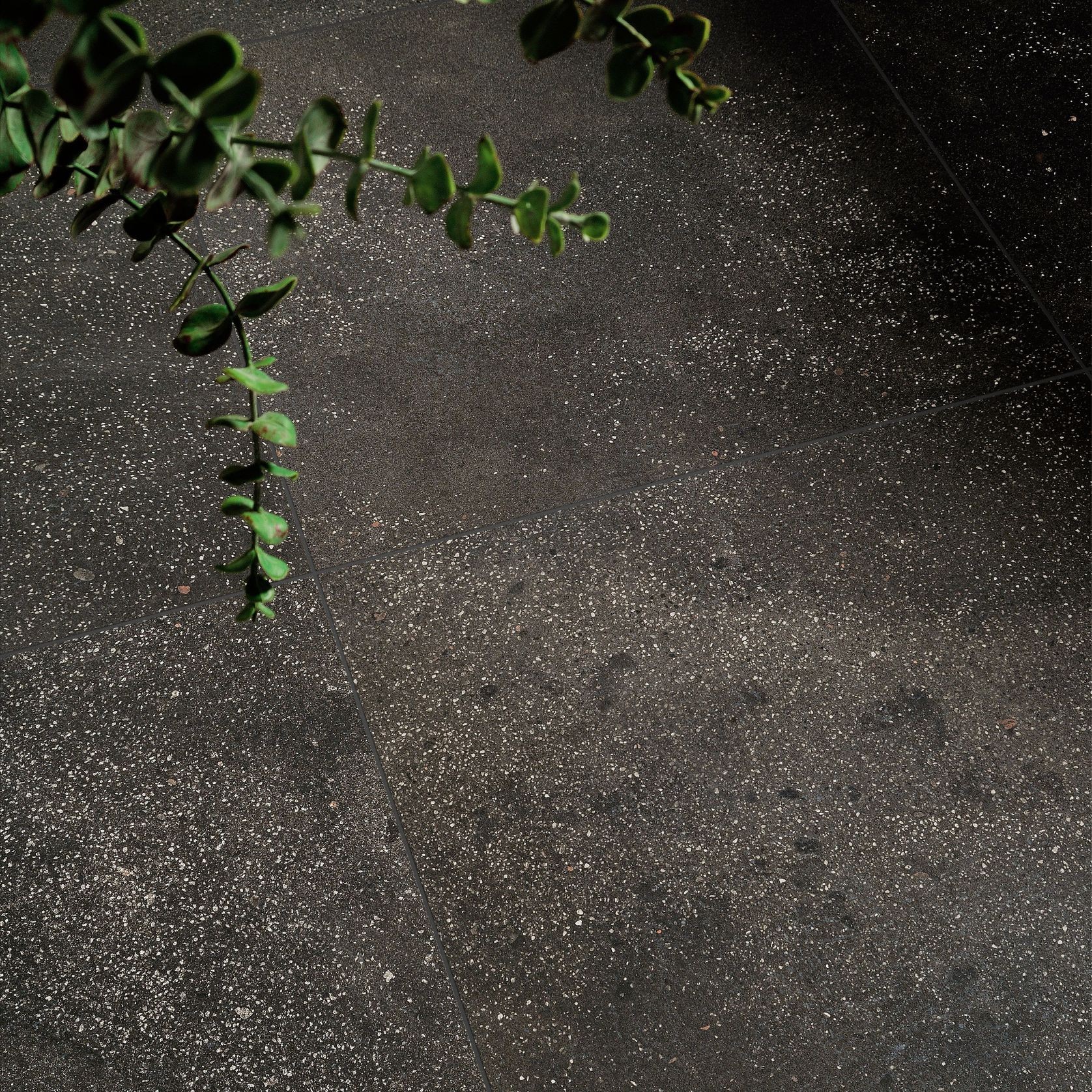 I Cocci Tile Collection gallery detail image