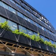 Green Wall Support Systems gallery detail image