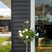 Linea™ Weatherboard gallery detail image
