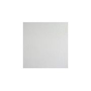 Plaster Painter Brick gallery detail image