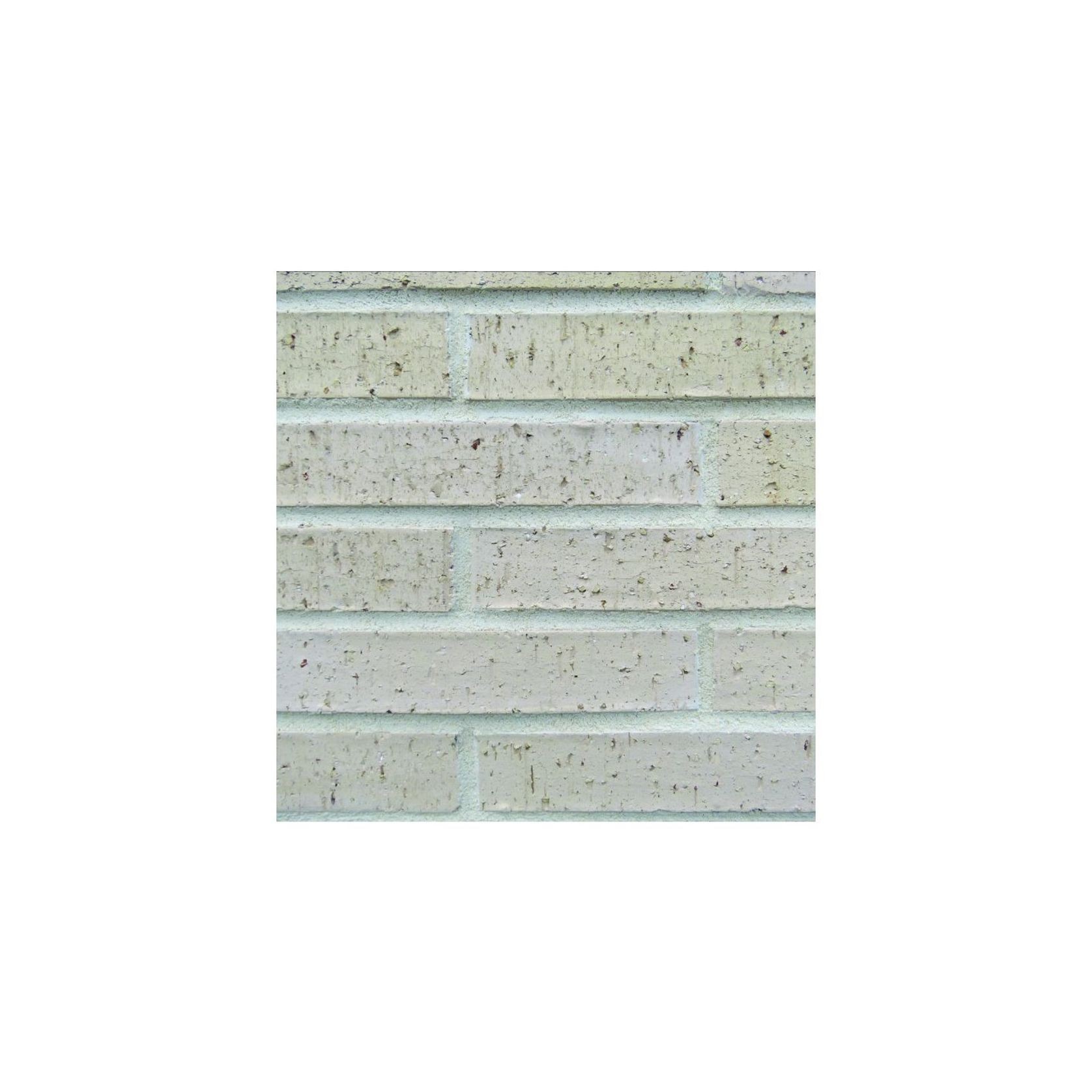 Wakatipu Romans Brick gallery detail image