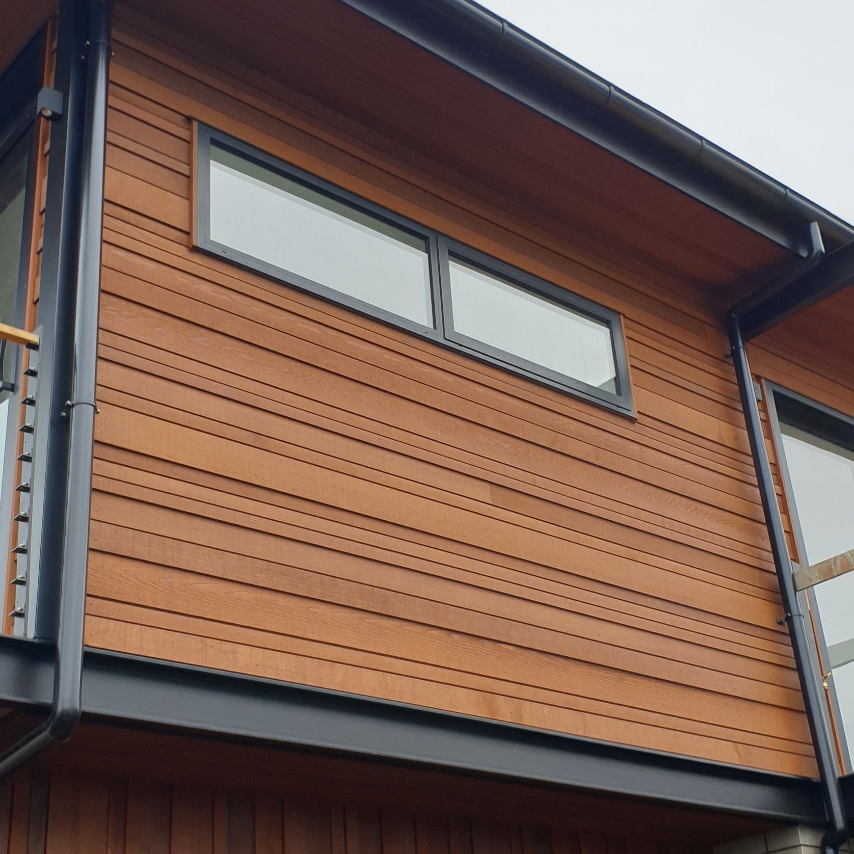 Western Red Cedar gallery detail image