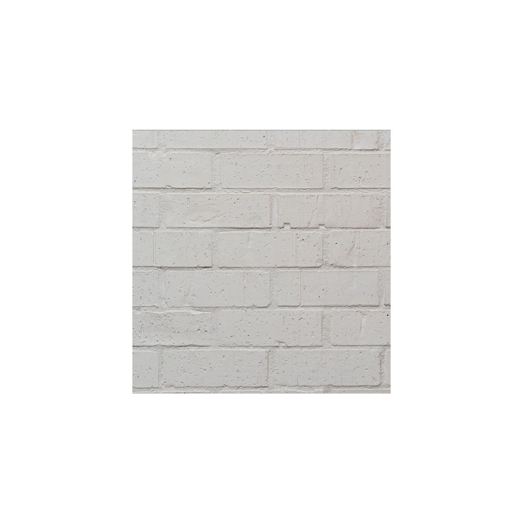 Wirecut Painter Brick gallery detail image