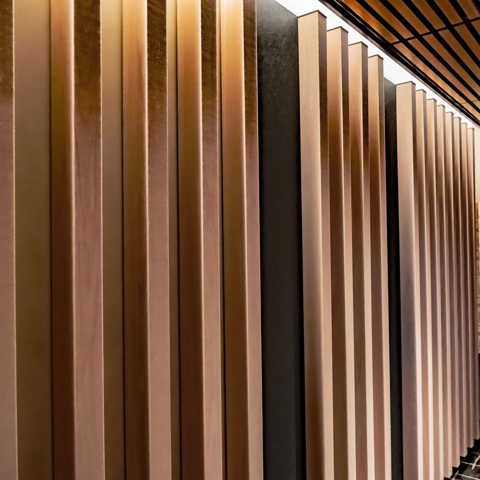 Premium Acoustic Designs ArchiPro AU