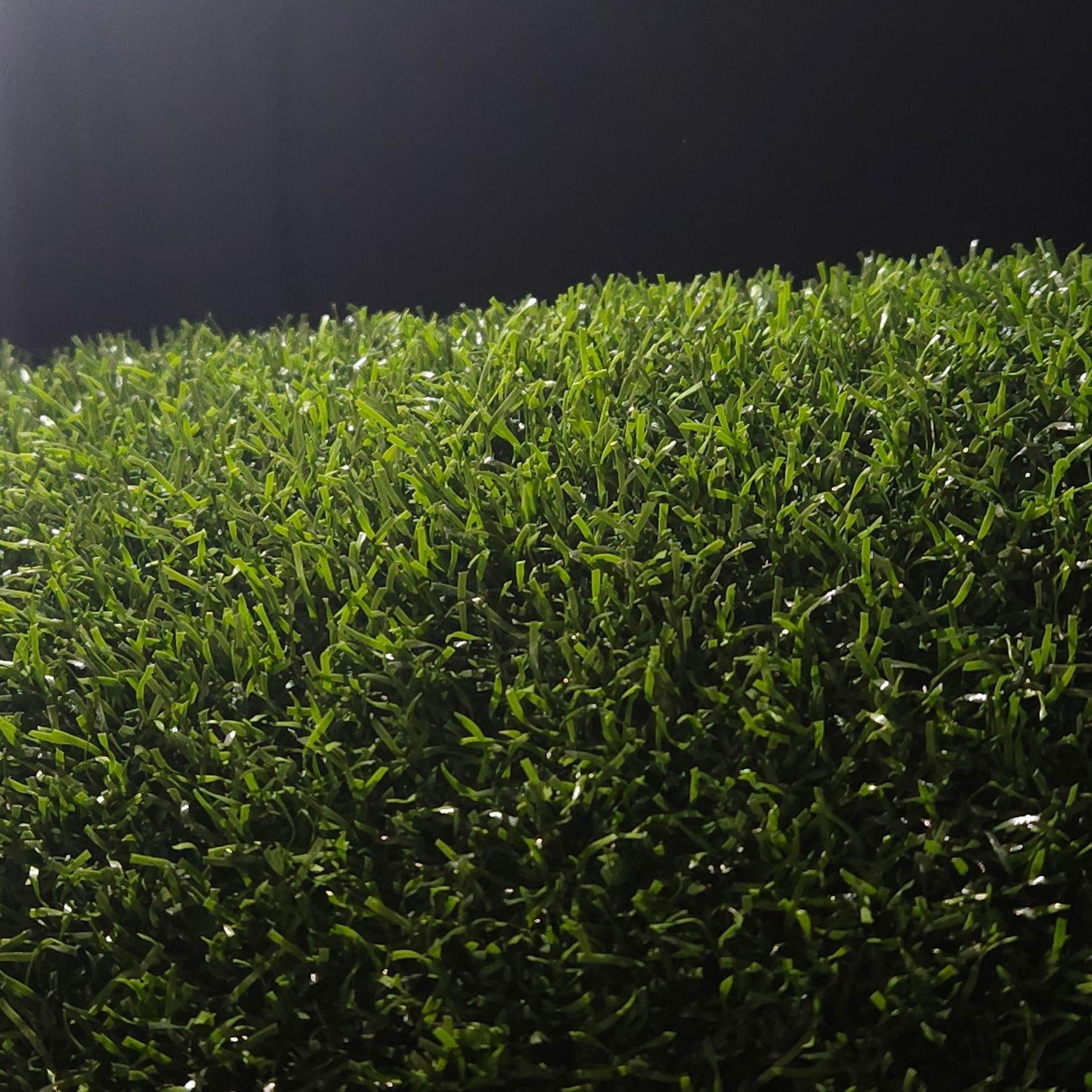 Pure PT gallery detail image