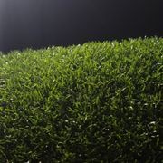 Pure PT gallery detail image