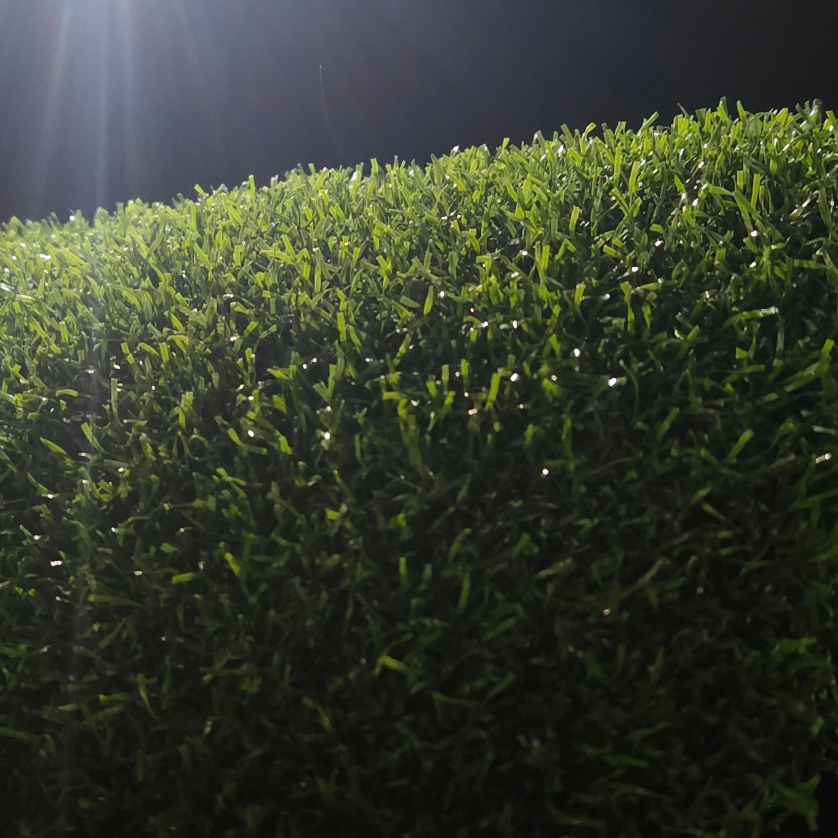 Pure PT gallery detail image