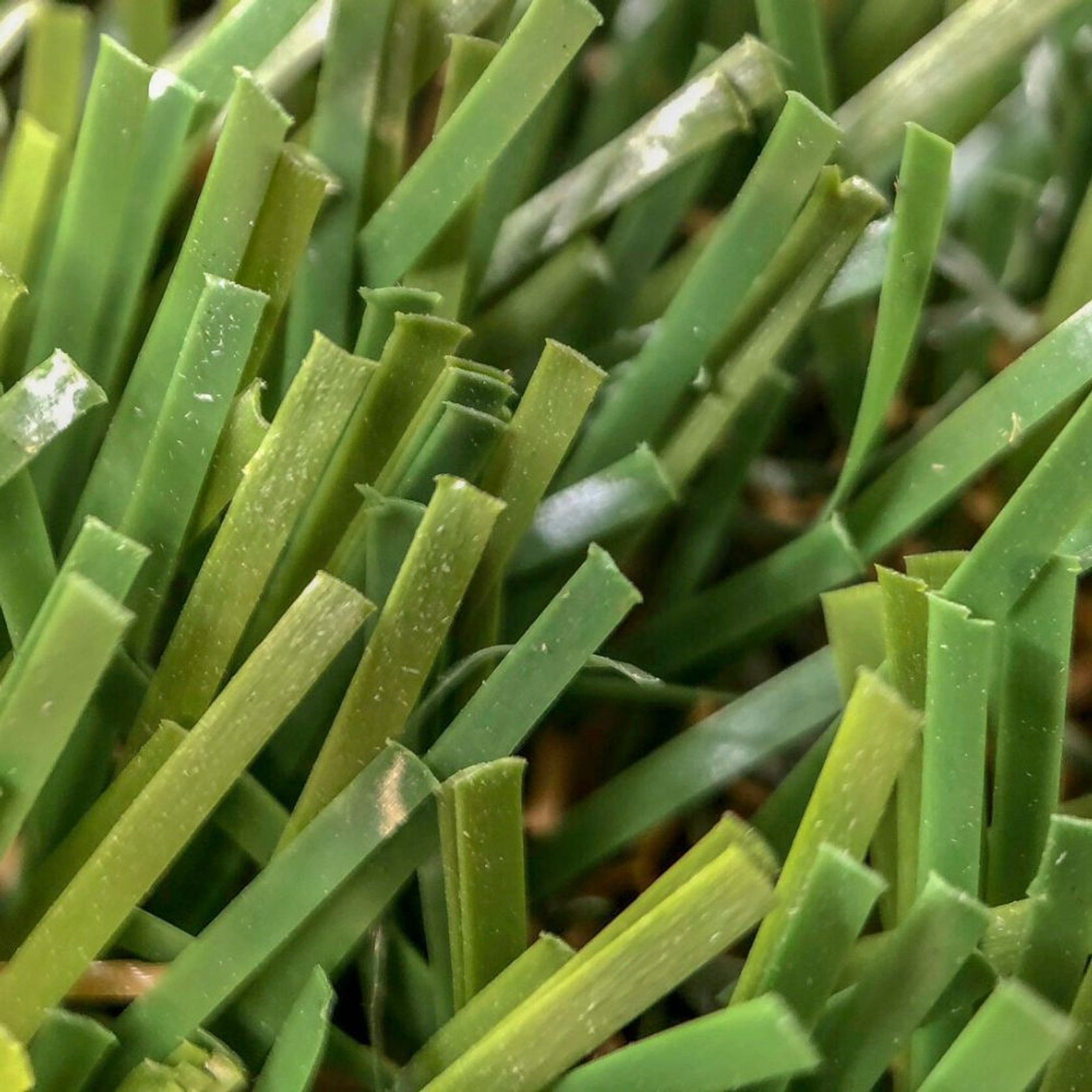 LANDSCAPE | 'Classic 45' gallery detail image