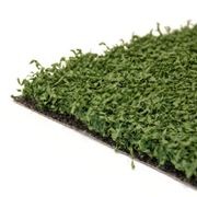 BASKETBALL | 'ProBaller' gallery detail image