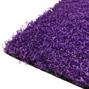 BASKETBALL | 'ProBaller' gallery detail image