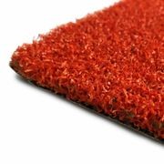 BASKETBALL | 'ProBaller' gallery detail image