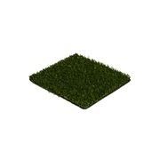 PowerPlay 16 - Sports Turf gallery detail image