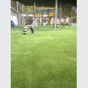 CHILDCARE & PLAYGROUND Surfaces gallery detail image