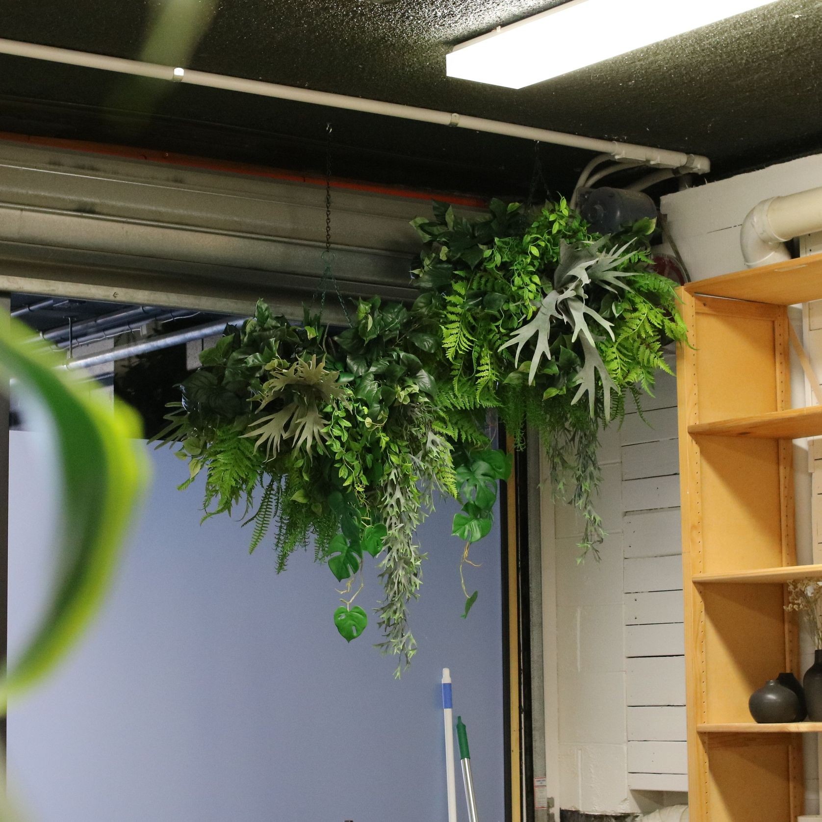 Artificial Plant Solutions | Hire Plants gallery detail image