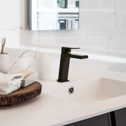 Bianca Basin Mixer | Matte Black gallery detail image