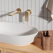 Bianca Mixer Separate Back Plate 187mm | Brushed Gold gallery detail image