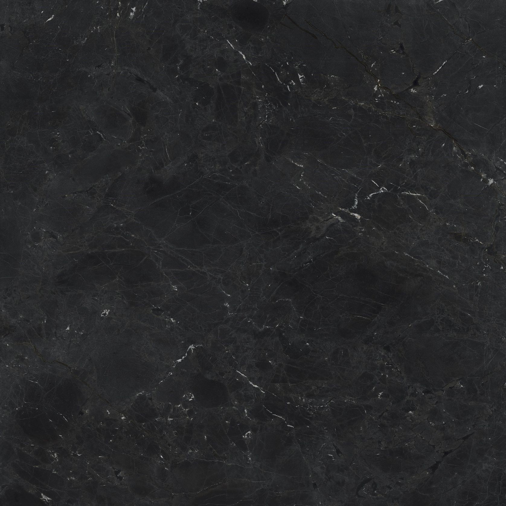 Negresco gallery detail image