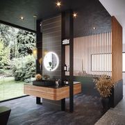 Sensation Basin gallery detail image