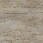 Silver Roots gallery detail image