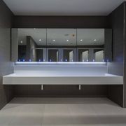 Corian® Washplane 3225 gallery detail image