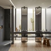 Raw D Silestone gallery detail image