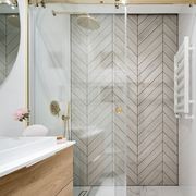 Frameless Glass Showers gallery detail image