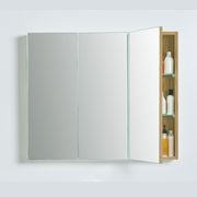 Mirror Cabinet gallery detail image