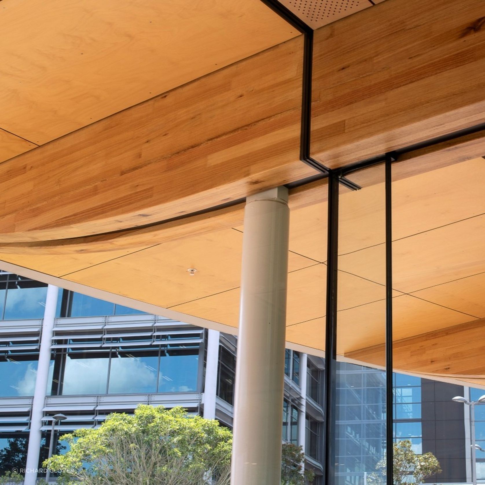 Plantation Oak Timber gallery detail image
