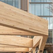 Plantation Oak Timber gallery detail image
